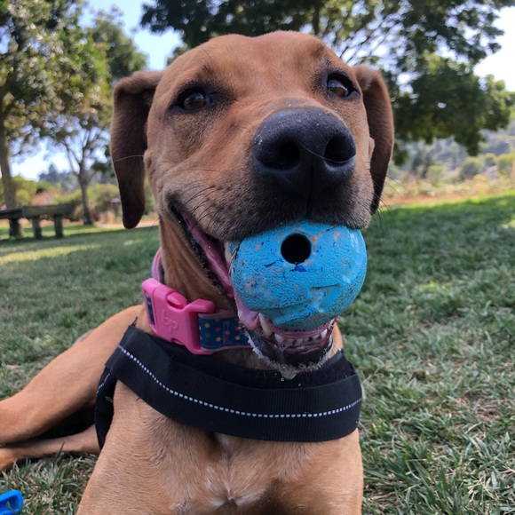 ACCEPTING ALL OFFERS TODAY - Picture 2 of 2